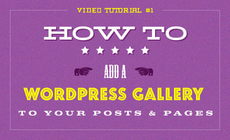 How To Add a WordPress Gallery to your Posts & Pages