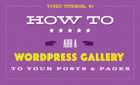 How To Add a WordPress Gallery to your Posts & Pages