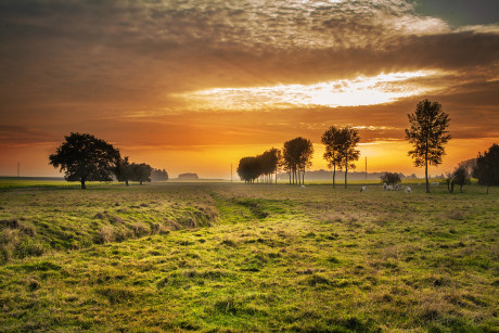 Our Favorite Landscape Photos