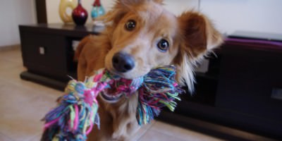 Charlie